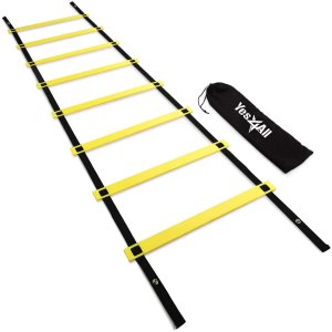 speed training ladder