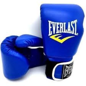 everlast boxing gloves