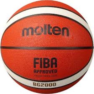 molten bg2000 basketball